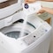 洗濯槽の洗浄剤　　 ＜１回分３００ｇ＞【塩素系のツンとした臭いが苦手な方におすすめ】