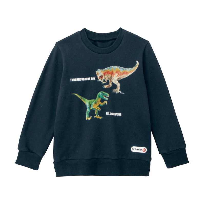 ティラノサウルス×ベロキラプトル