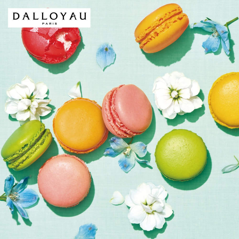 【ダロワイヨ/DALLOYAU】【お中元・おとりよせ】 季節のマカロン入り詰め合わせ 【ご注文は8月25日まで】