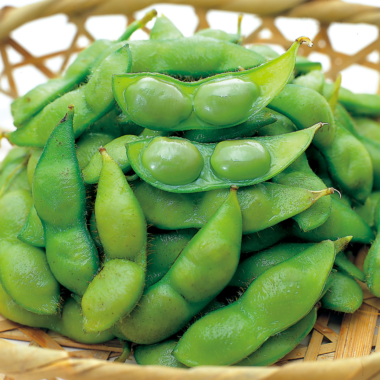 【ベルメゾン】【予約商品】【お中元・おとりよせ】 山形県産 だだちゃ豆 【ご注文は8月20日まで】