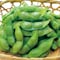 【予約商品】【お中元・おとりよせ】 山形県産　だだちゃ豆 【ご注文は8月20日まで】