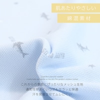 サメ＆ボーダー