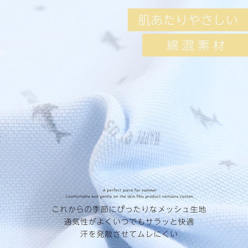 サメ＆ボーダー