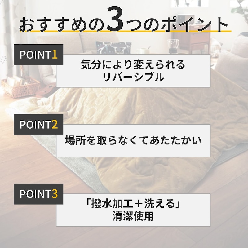 おすすめポイント