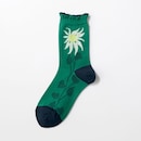 Ａ３６／蝕める花(秋冬)