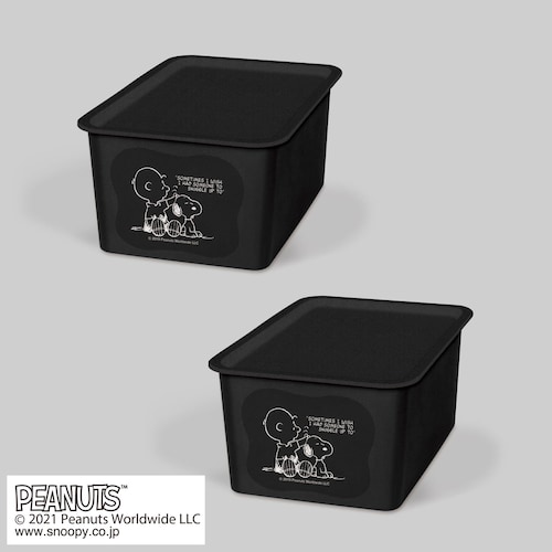 「スヌーピー」カラーボックスに収納できる フタ付収納ボックス 同色２個セット