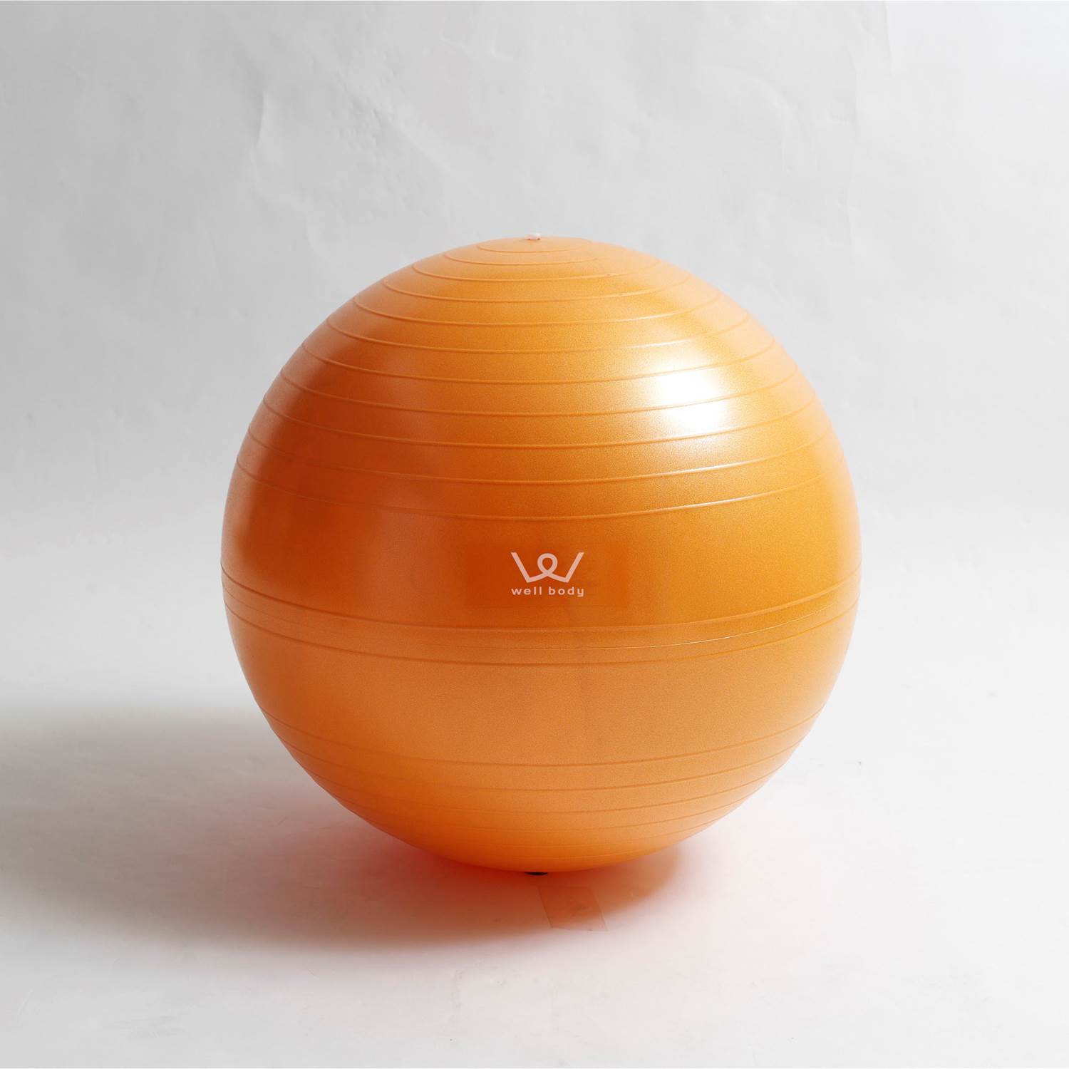 市場 アルインコ エクササイズボール 75cm Wbn075 市場 アルインコ エクササイズボール 75cm Wbn075