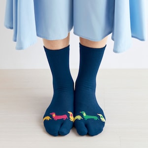 ダックスフンド着用