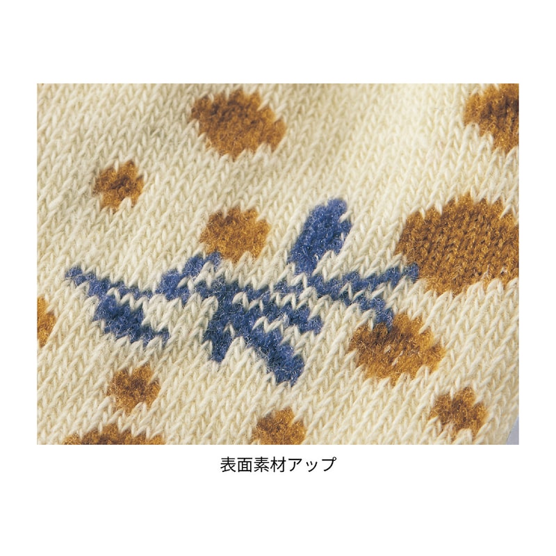 美しいミモザ