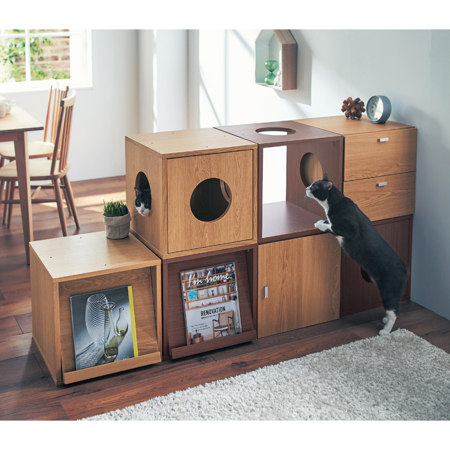 猫用タイプのキューブボックス 奥行40cm 通販のベルメゾンネット 猫用タイプのキューブボックス 奥行40cm 通販のベルメゾンネット