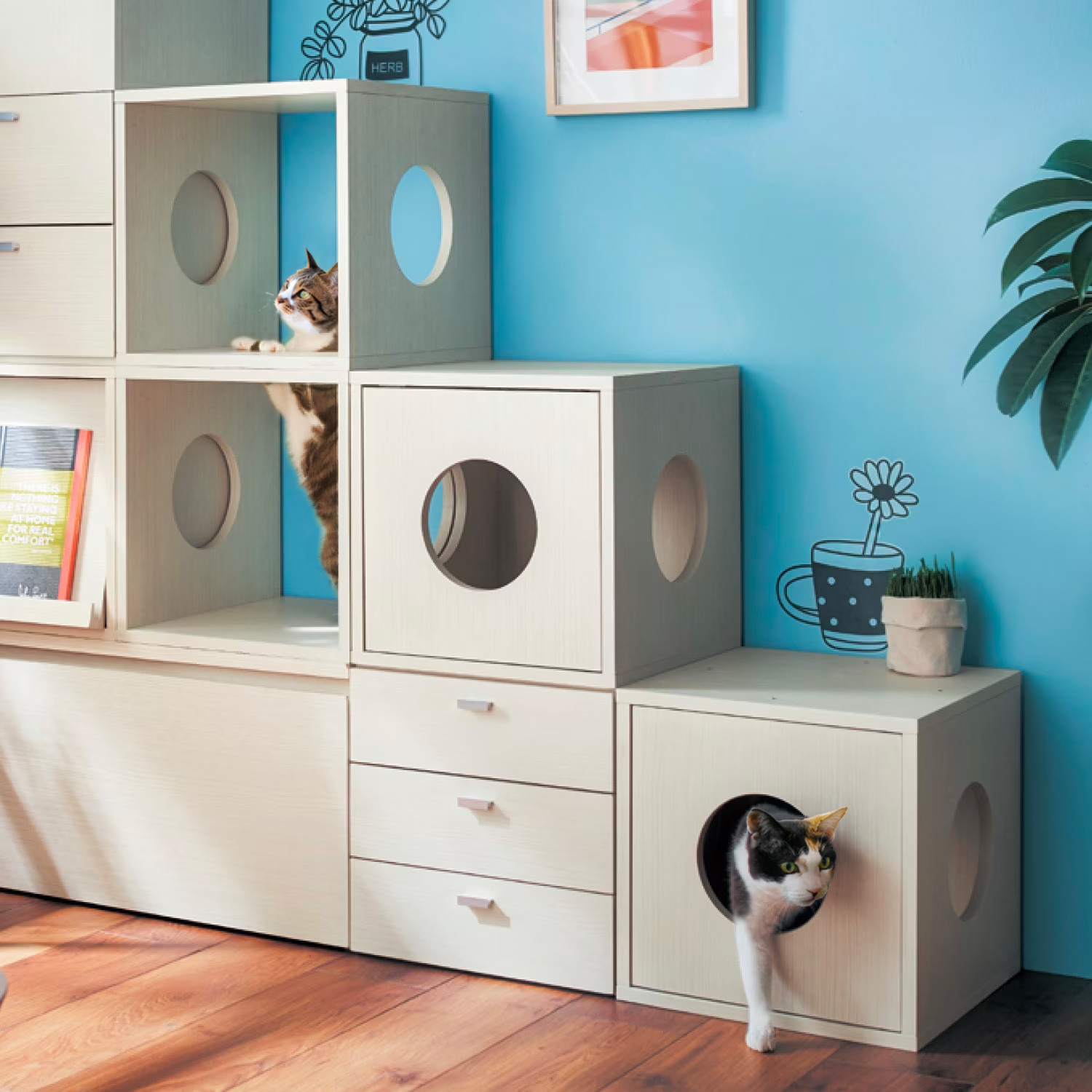 猫用タイプのキューブボックス(奥行40cm) 猫用タイプのキューブボックス(奥行40cm)