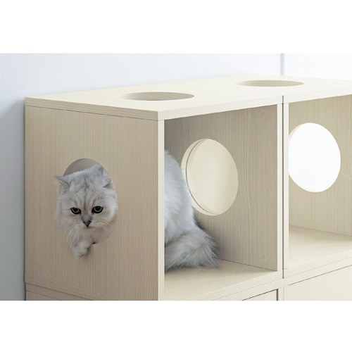 猫用タイプのキューブボックス（奥行４０ｃｍ）