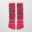 ピンクボーダー(スタンダード丈)