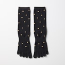 ブラウンドット(スタンダード丈)