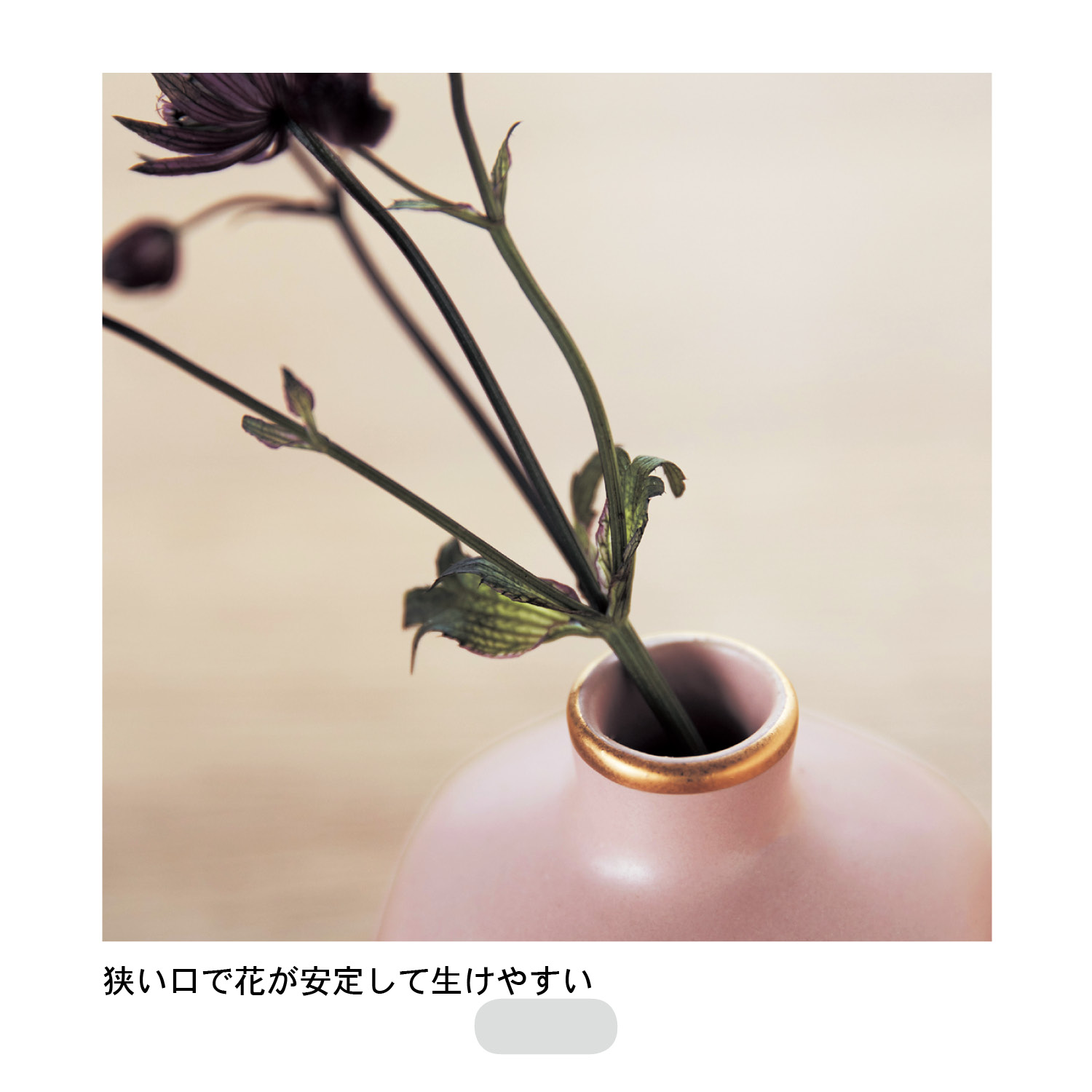 活けやすい磁器のフラワーベース イエローのみ 小ぶりな花瓶 通販のベルメゾンネット 活けやすい磁器のフラワーベース イエローのみ 小ぶりな花瓶 通販のベルメゾンネット