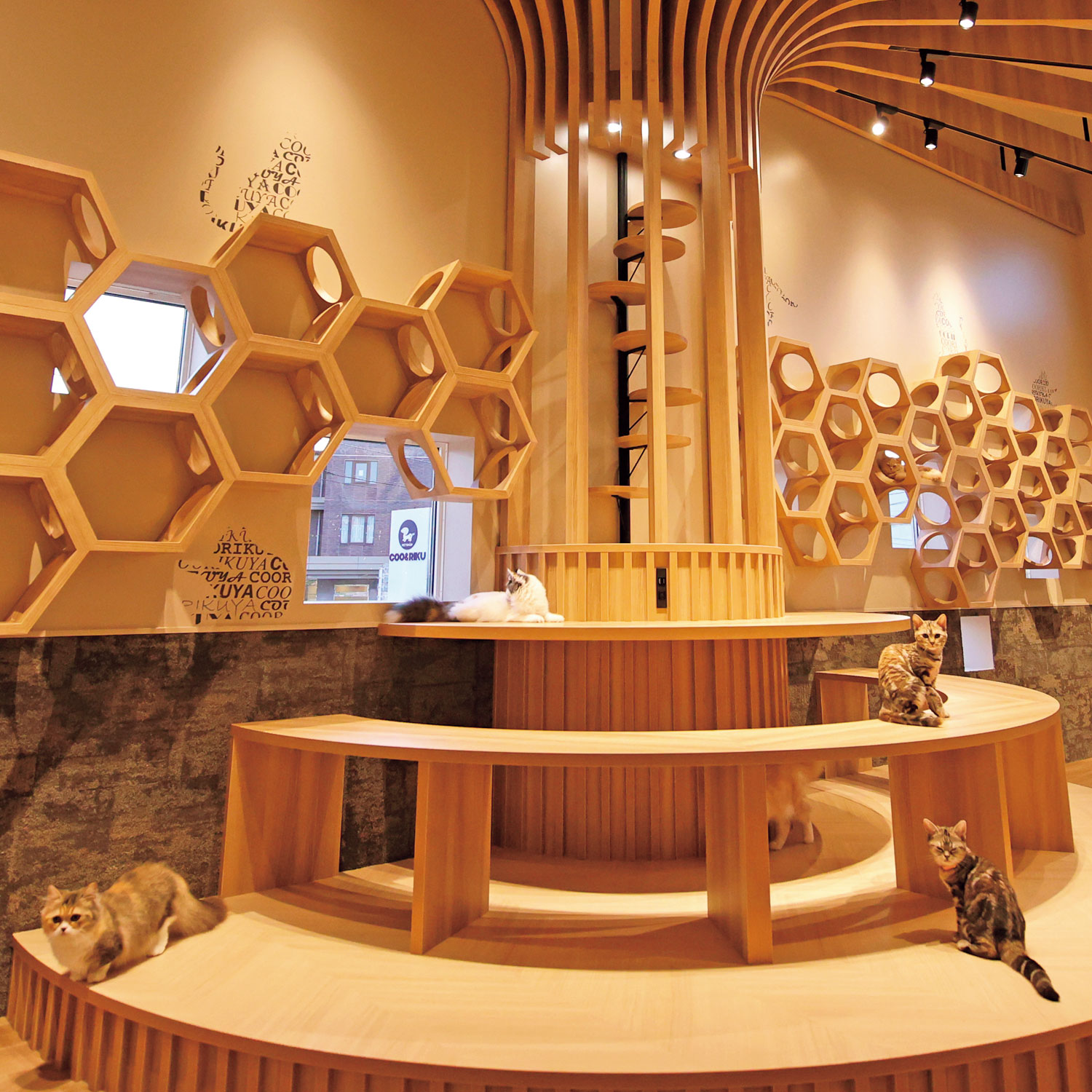 送料無料 カードギフト musubi 玄黄 げんこう Musubi 通販のベルメゾンネット 送料無料 カードギフト musubi 玄黄 げんこう Musubi 通販のベルメゾンネット