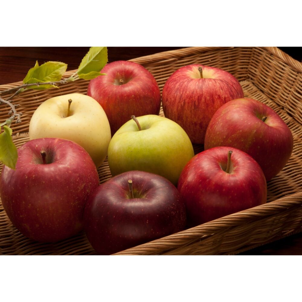 【ベルメゾン】【予約商品】【お歳暮・おとりよせ】 8種のりんごの味ぞろえ 【ご注文は12月15日まで】