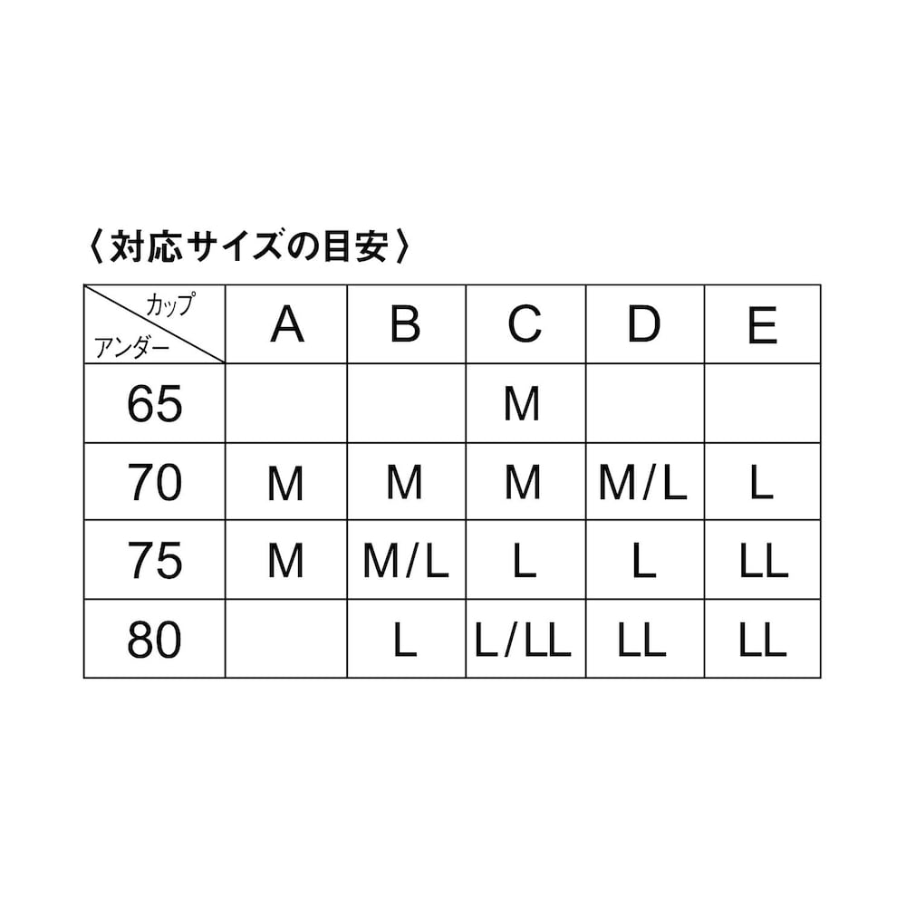サイズ表