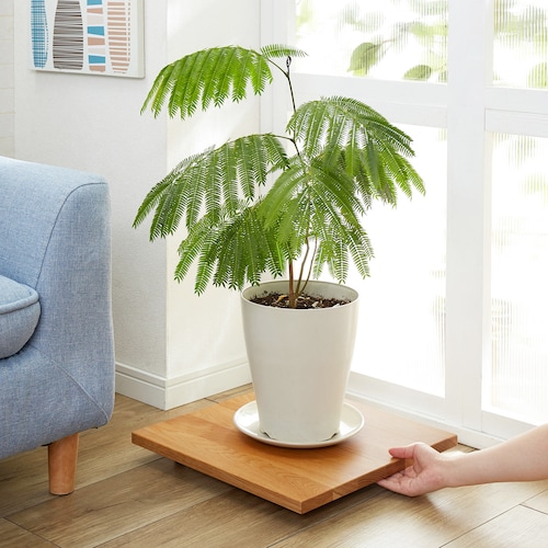 観葉植物の移動が楽にできる天然木のスクエアプランターワゴン【PLANTER BACE】