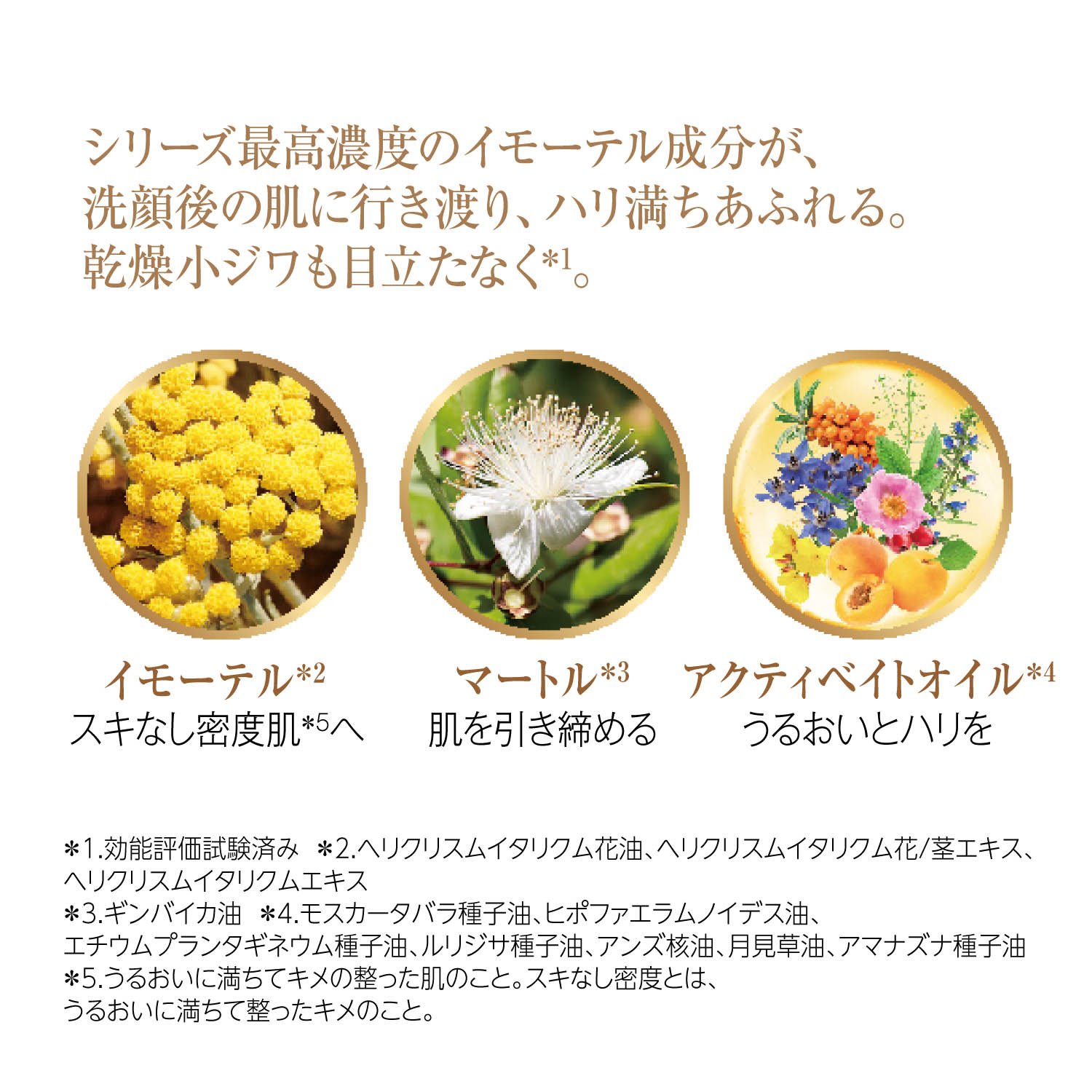 イモーテル ディヴァインインテンシヴオイル ロクシタン L Occitane 通販のベルメゾンネット イモーテル ディヴァインインテンシヴオイル ロクシタン L Occitane 通販のベルメゾンネット