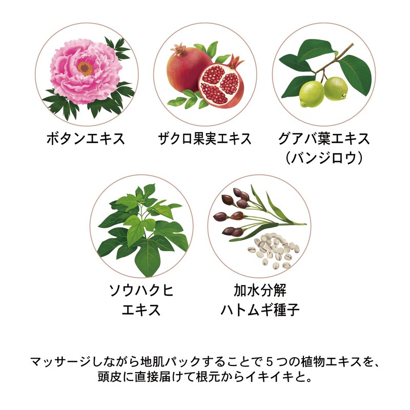 ５つの植物エキス