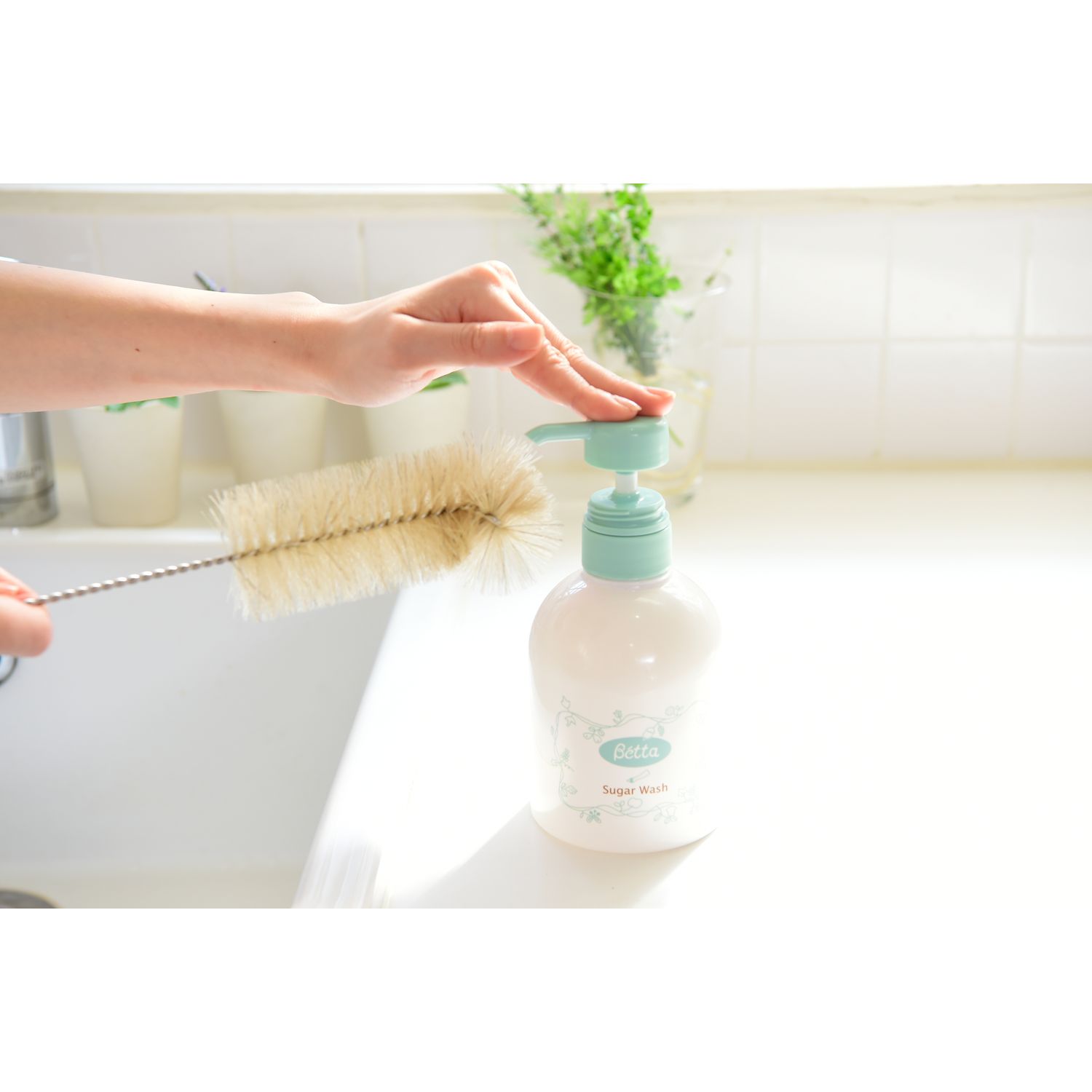 ベッタ シュガーウォッシュ(ベッタ/Betta) ベッタ シュガーウォッシュ(ベッタ/Betta)