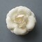 付けるだけで華やかな印象になるコサージュもセット