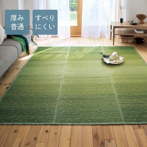 厚みの選べる制菌・抗菌防臭加工ウレタン入りい草ラグ ＜ボリュームタイプ／標準タイプ＞