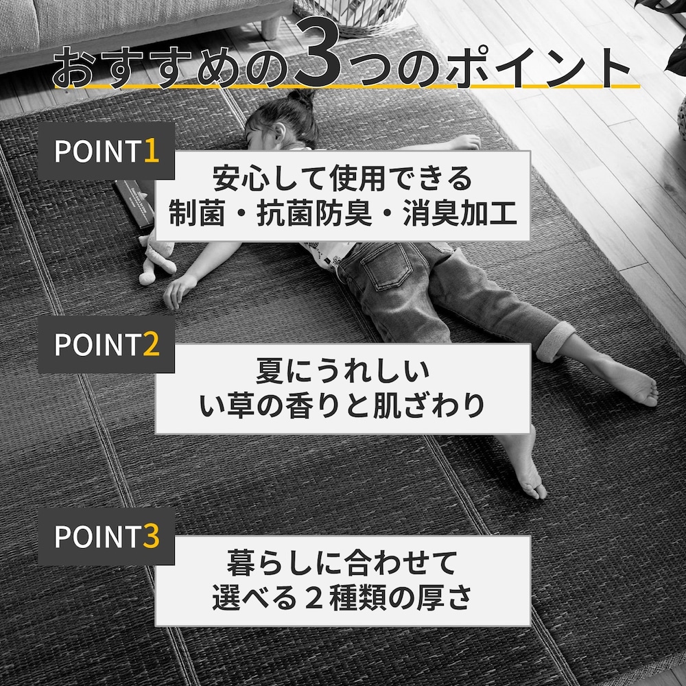 おすすめポイント