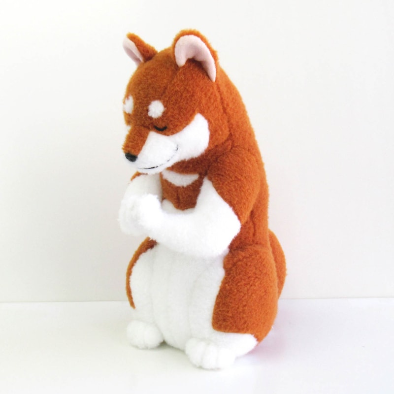 柴犬