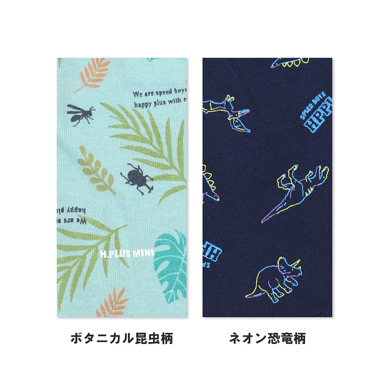 ボタニカル＆ネオン恐竜