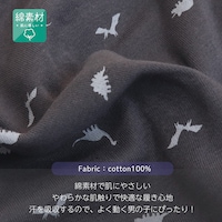 恐竜