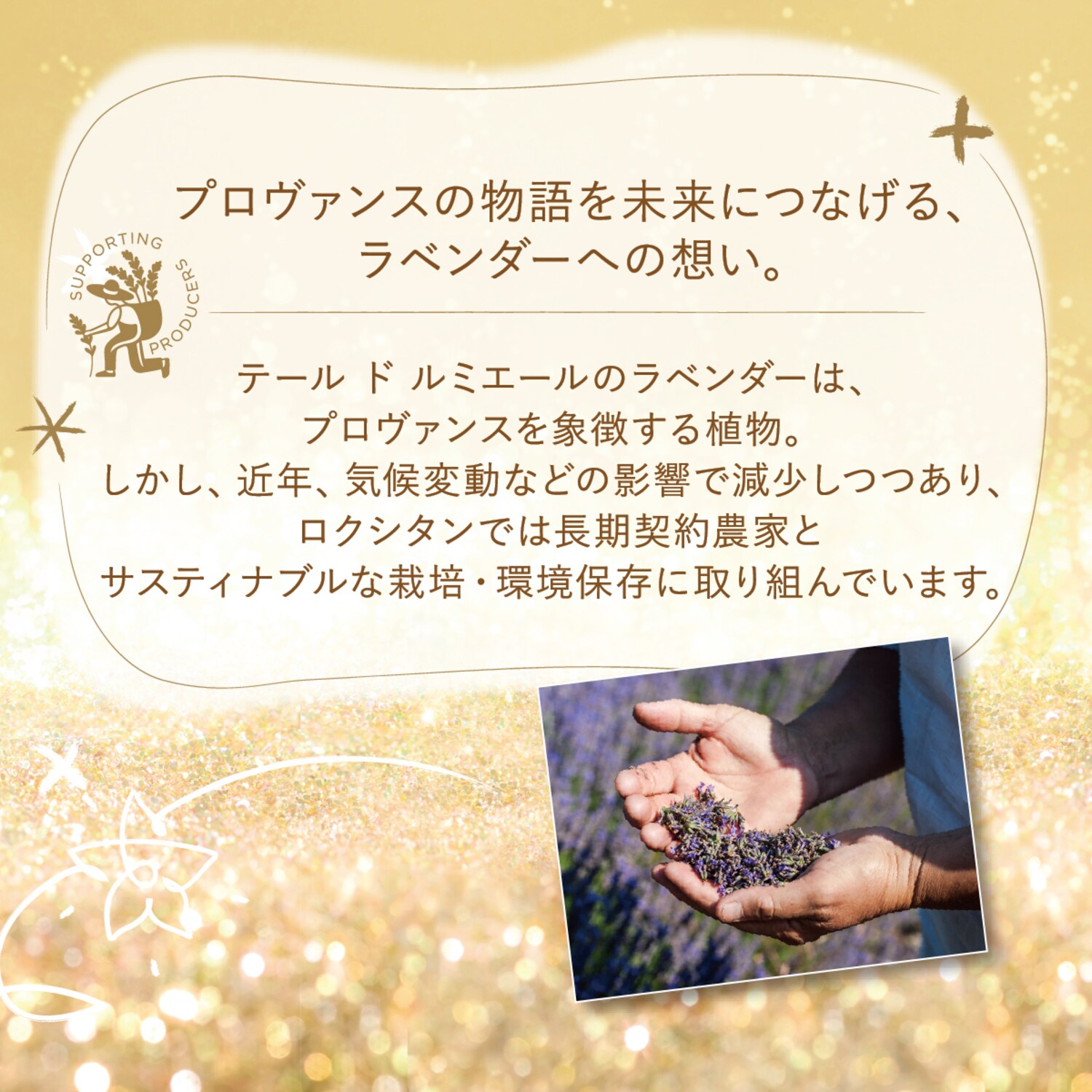 限定モデル ロクシタン テールドルミエールジョイ フレグランス