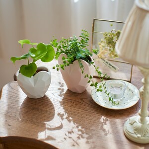 【ベルメゾン】観葉植物&ハート型陶器鉢2個セット「ハートフィロデンドロン&ミリオンハート」