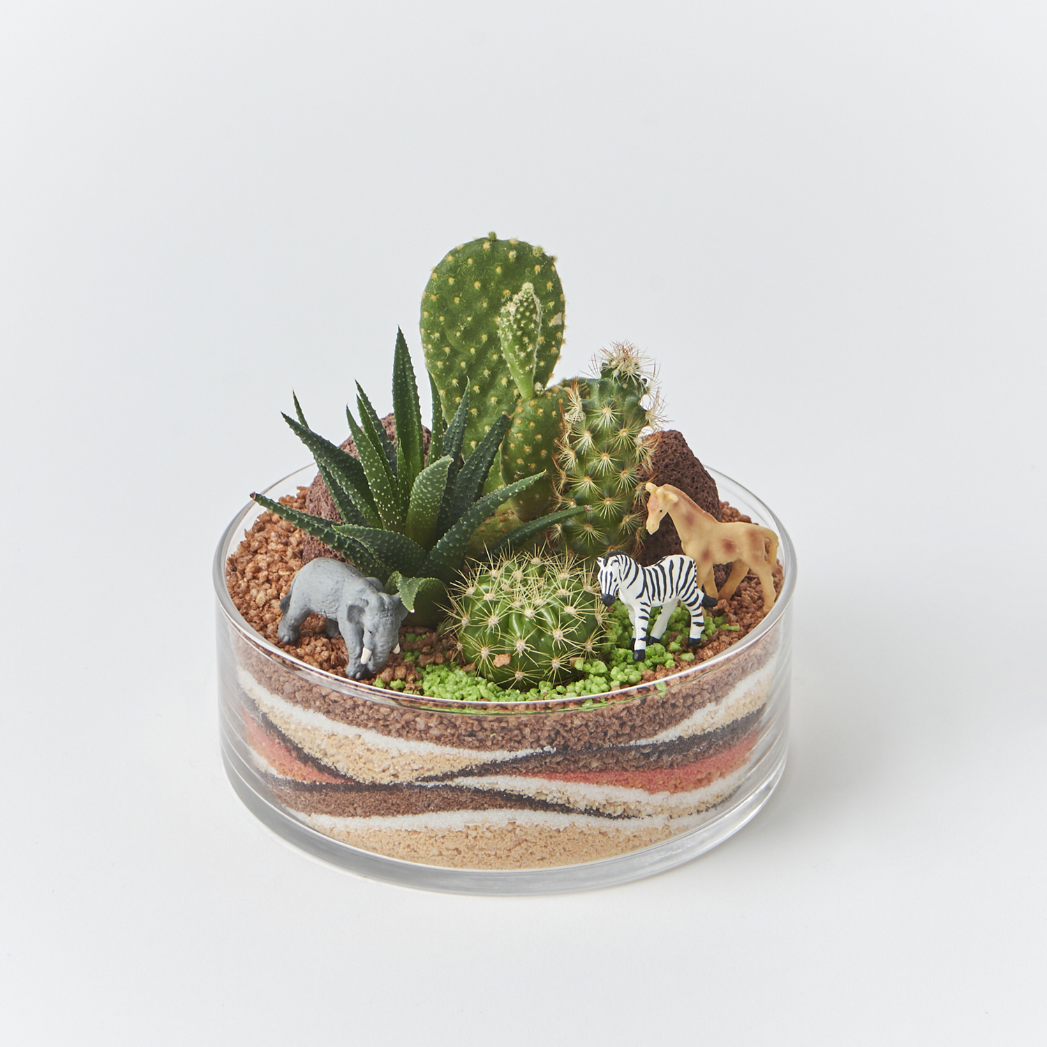 ジオラマ寄せ植え観葉植物 サファリ 通販のベルメゾンネット ジオラマ寄せ植え観葉植物 サファリ 通販のベルメゾンネット