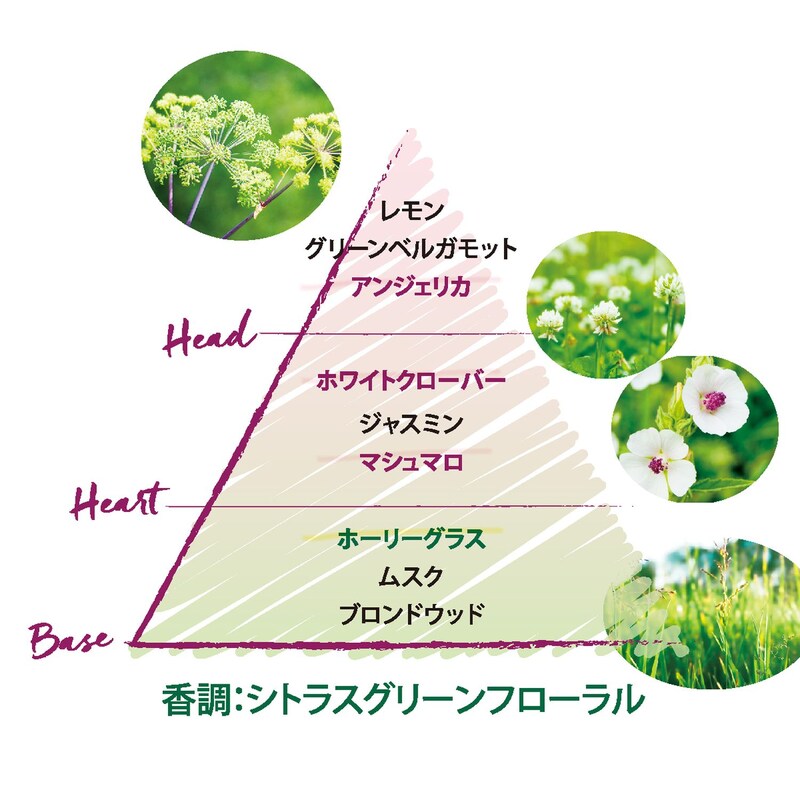 エルバブランシュ オードトワレ ロクシタン L Occitane 通販のベルメゾンネット