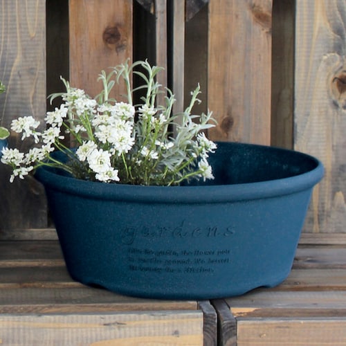 浅型プランターポット［日本製］ ＜径３０ｃｍ２個セット／径３６．３ｃｍ１個＞【寄せ植え】