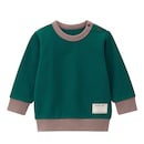 ダークグリーン