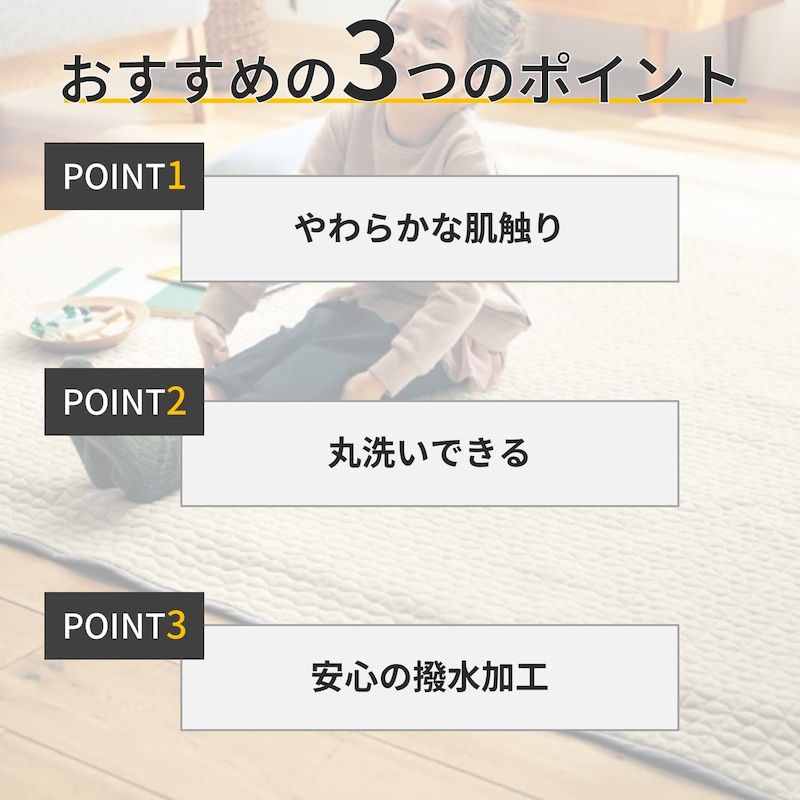 おすすめポイント