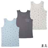 恐竜ｾｯﾄ