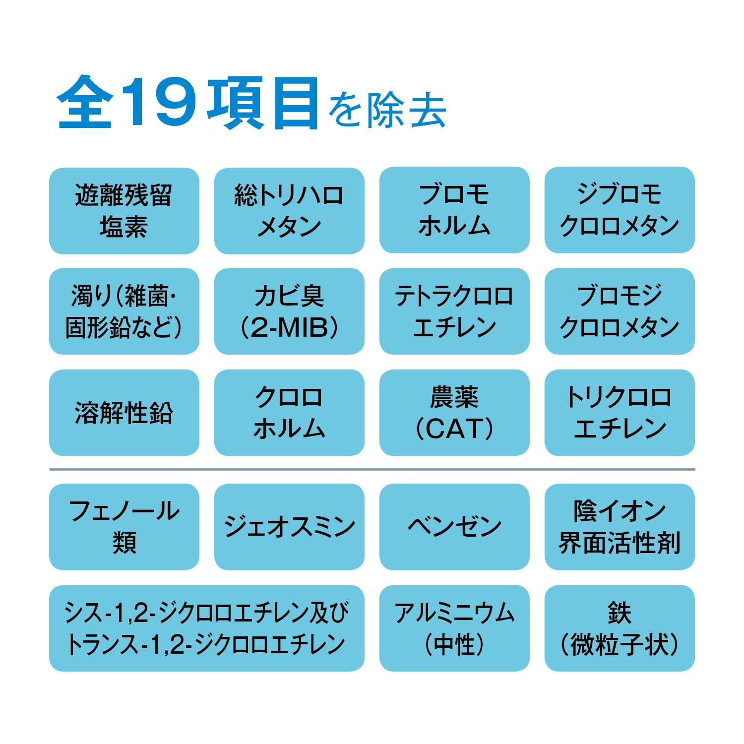定期お届け 2ヵ月コース ナチュリックピッチャーカートリッジ 中空糸膜タイプ ワンパターン 通販のベルメゾンネット 定期お届け 2ヵ月コース ナチュリックピッチャーカートリッジ 中空糸膜タイプ ワンパターン 通販のベルメゾンネット