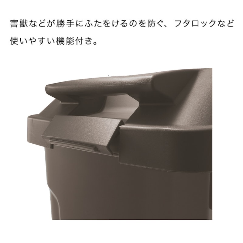 ブラウン