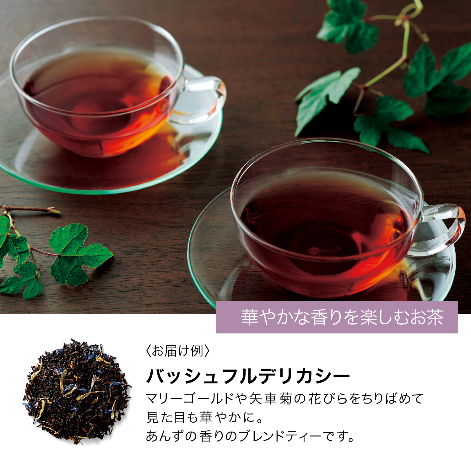 定期お届け Tea S ティーズ エンドフリー 通販のベルメゾンネット 定期お届け Tea S ティーズ エンドフリー 通販のベルメゾンネット