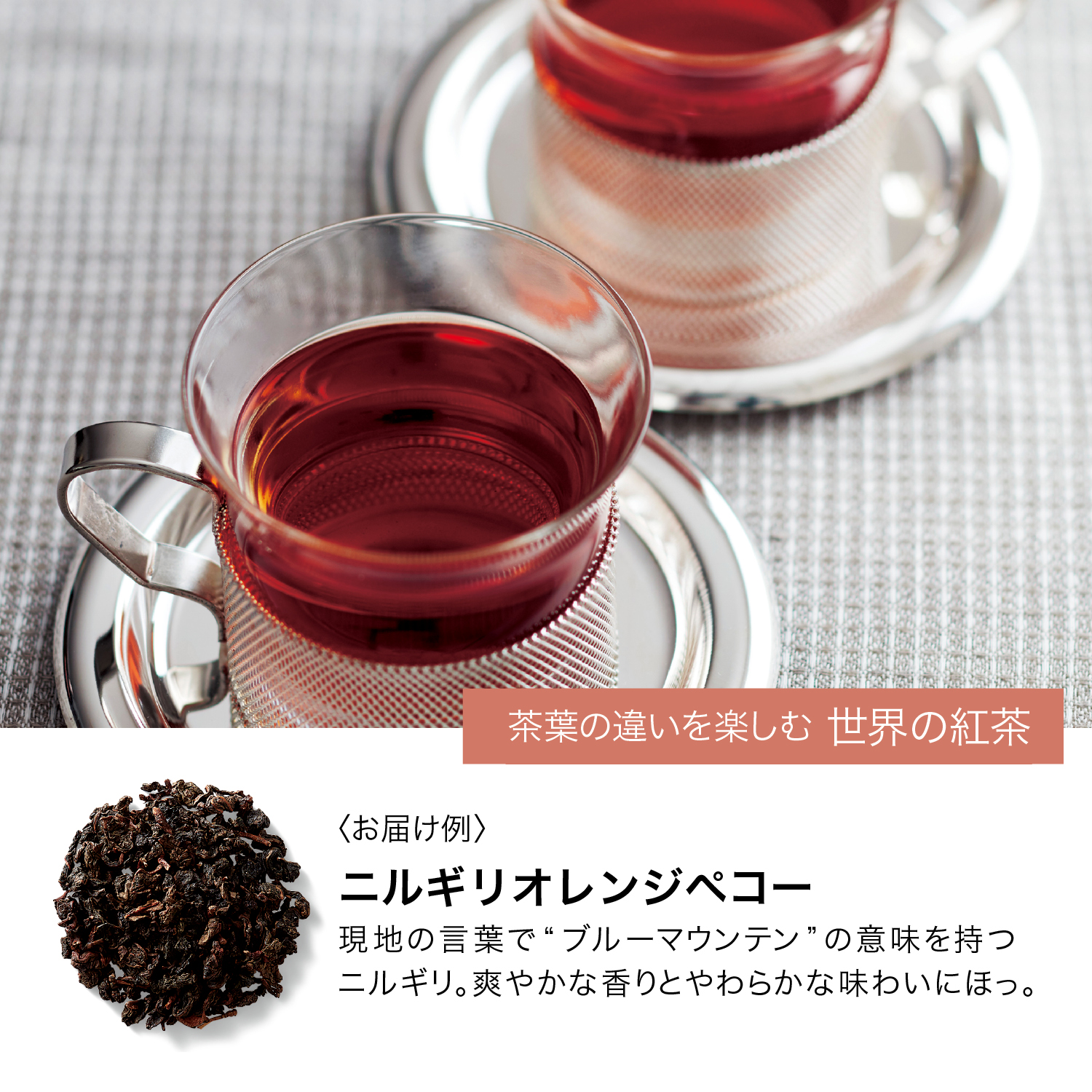 定期お届け Tea S ティーズ エンドフリー 通販のベルメゾンネット 定期お届け Tea S ティーズ エンドフリー 通販のベルメゾンネット