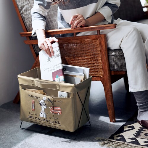 【定期お届け】【初回のみ30%OFF】 収納スタンドバスケット「ディズニーシリーズ」 ：8回シリーズ