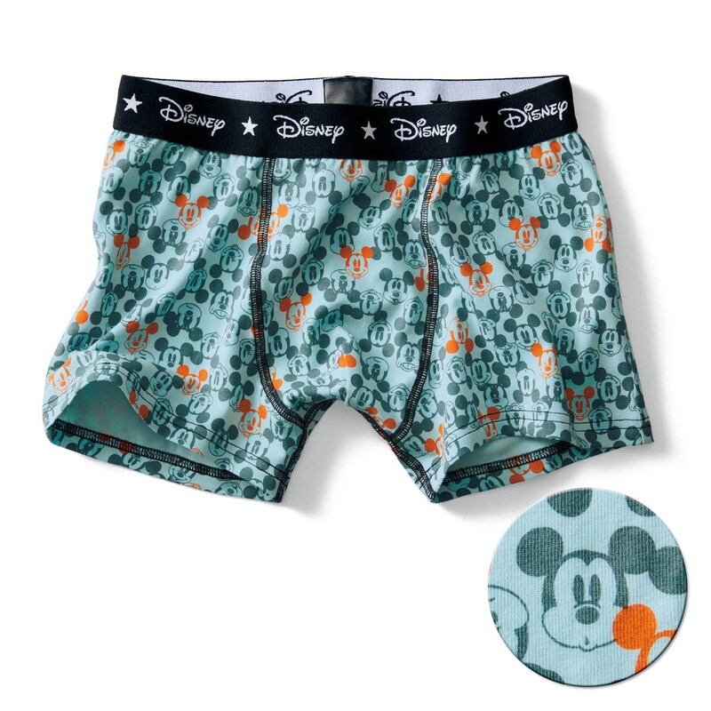 定期お届け ｌｌサイズ ディズニーシリーズ メンズボクサーパンツ １２回シリーズ ディズニー Disney 通販のベルメゾンネット