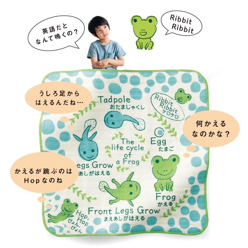 定期お届け 日本製５重ガーゼのおはなしお手拭き 8回サイクルフリー 通販のベルメゾンネット