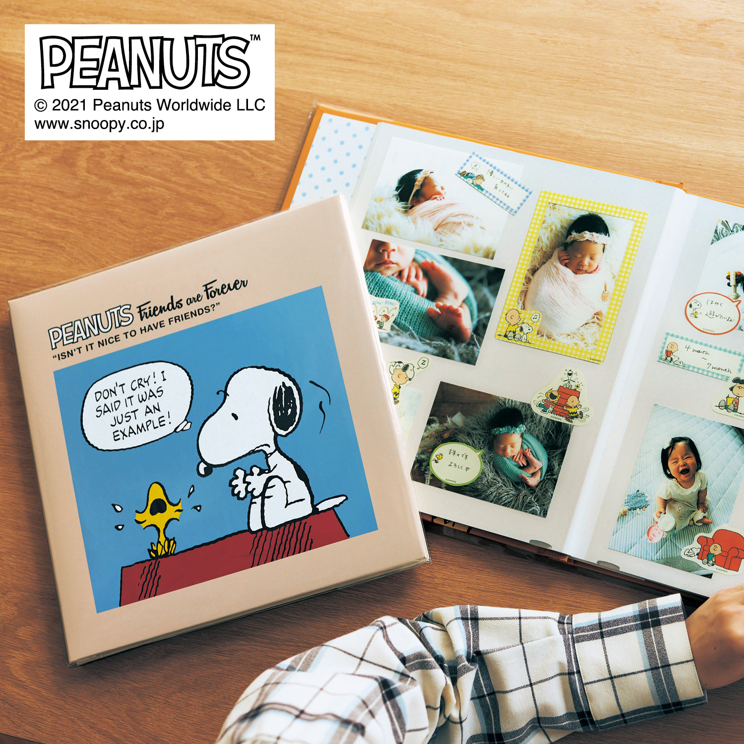 アルバム Cd Dvdケースの通販 通販のベルメゾンネット アルバム Cd Dvdケースの通販 通販のベルメゾンネット