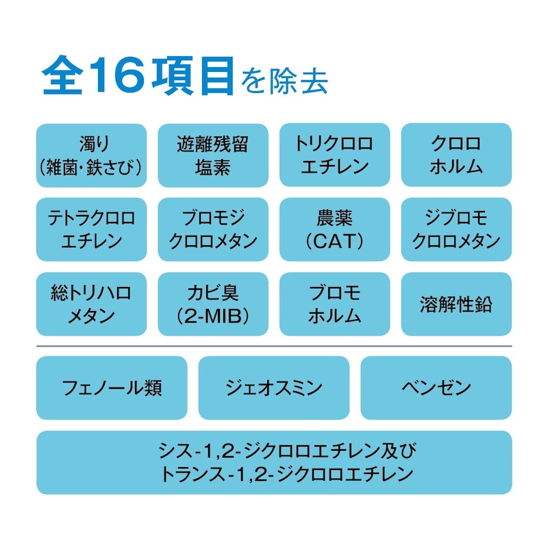 全１６項目を除去