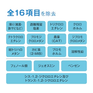 全１６項目を除去